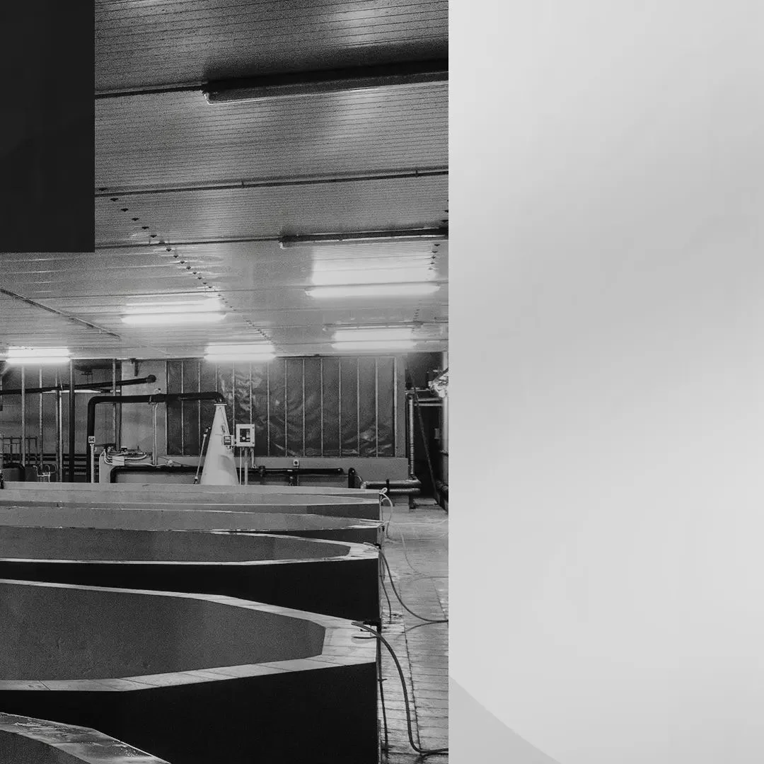 Russian Caviar House